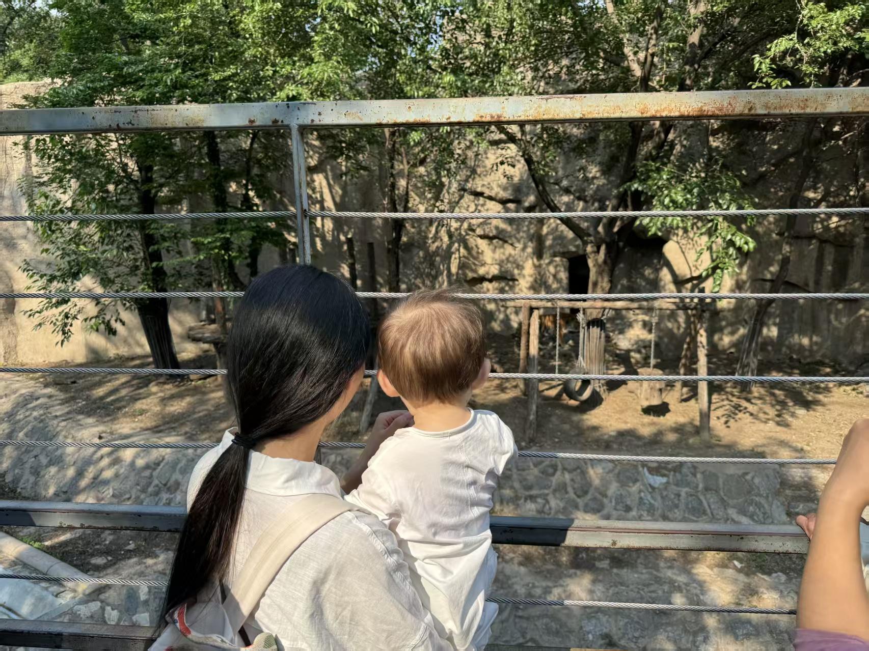 动物园